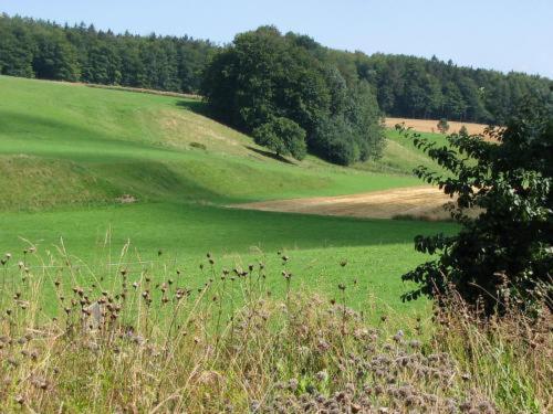 Landgasthof Zur Post Heiligenborn Chambre photo
